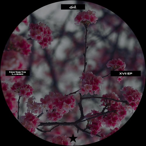 Premiere: Norberto Lusso - XV50 [Grit.]