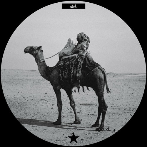 Premiere: Shedz - Entering the Shift Where Echoes Fade [Grit.]