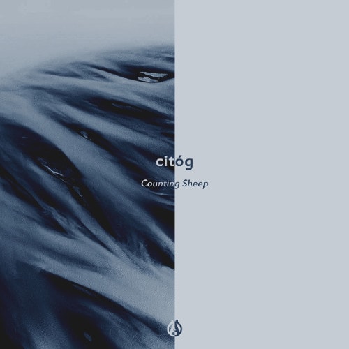 Premiere: citóg - Feel [Märked]